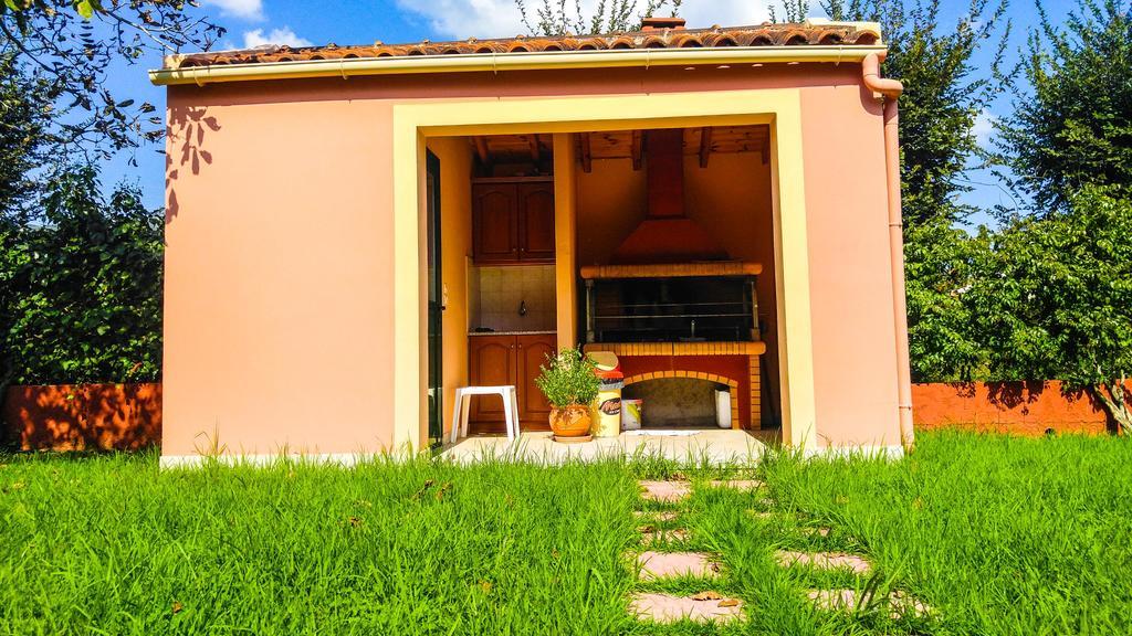 Gregory-Vassilis Apartments ذيسْخا المظهر الخارجي الصورة
