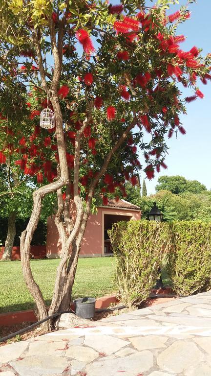 Gregory-Vassilis Apartments ذيسْخا المظهر الخارجي الصورة